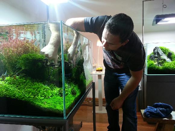 Správna údržba akvária